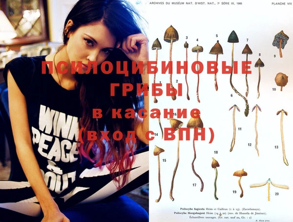 гидропоника Алзамай