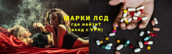 гидропоника Алзамай
